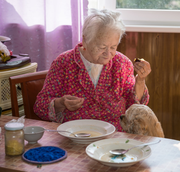 Elderly lady eating meal at dining table